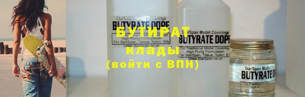 твердый Гусев