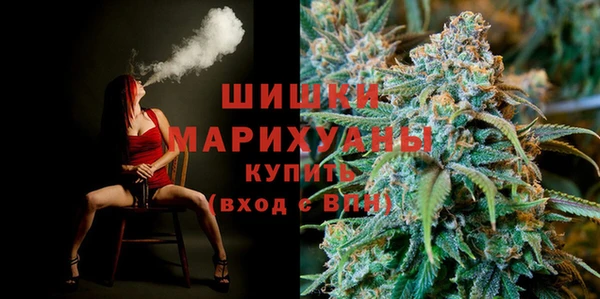 apvp Ельня