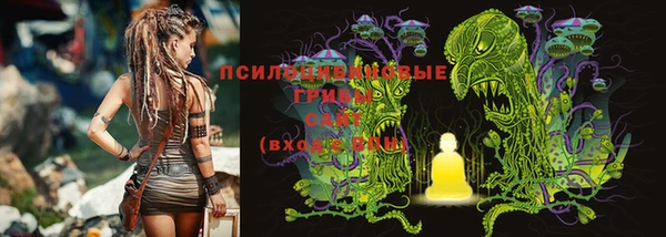 винт Алексин