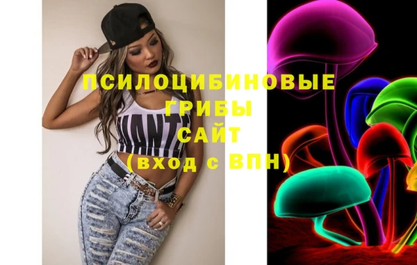 винт Алексин